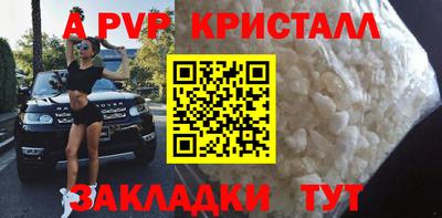 стафф Ачхой-Мартан